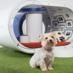 Компания Samsung создала необычный собачий питомник